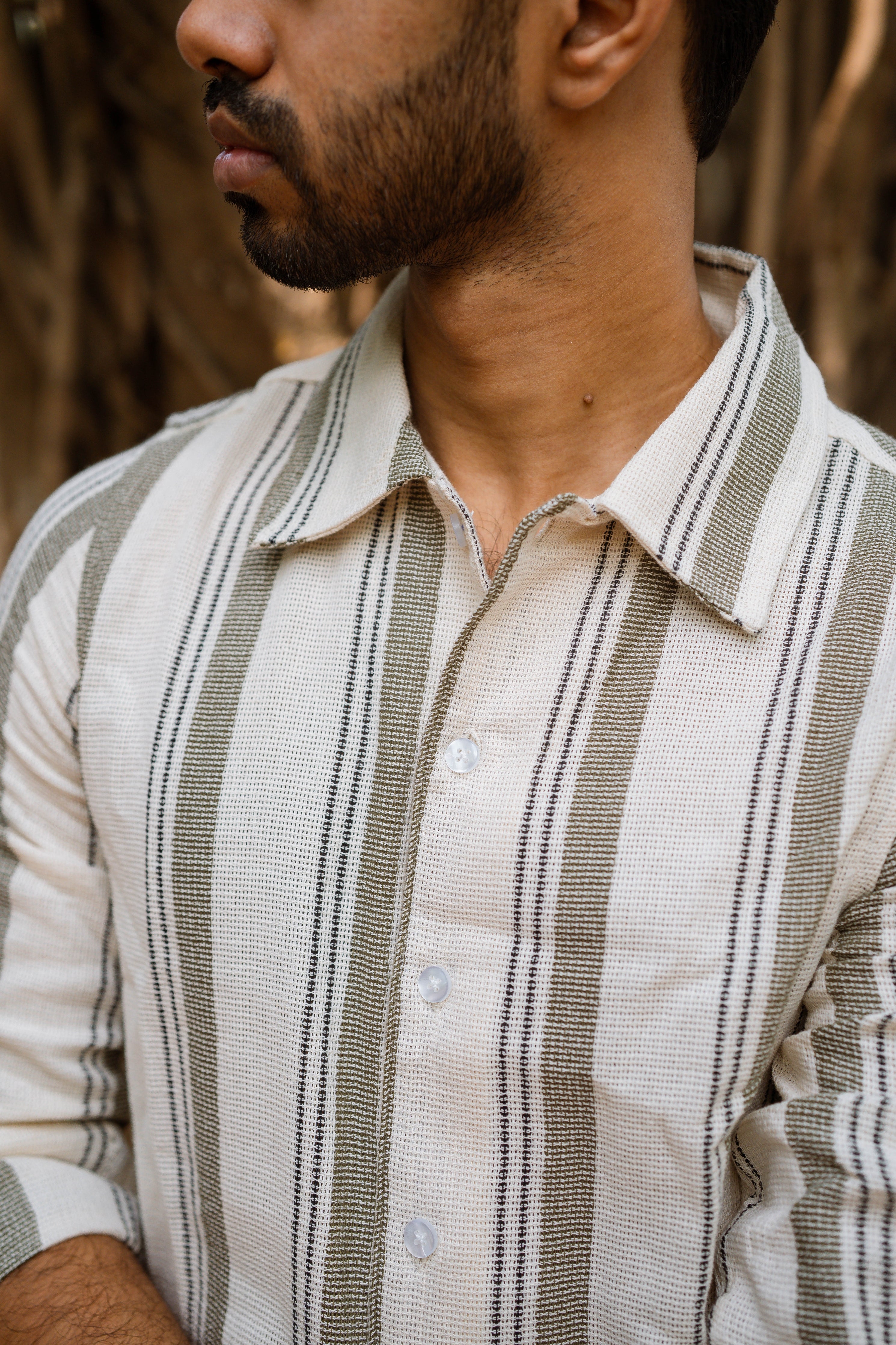 The Fossil Stripe